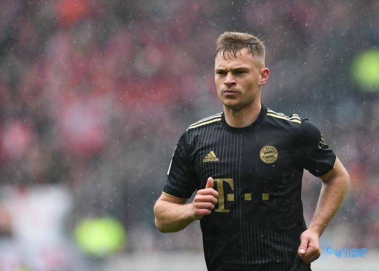 花笼女人：猫子2020