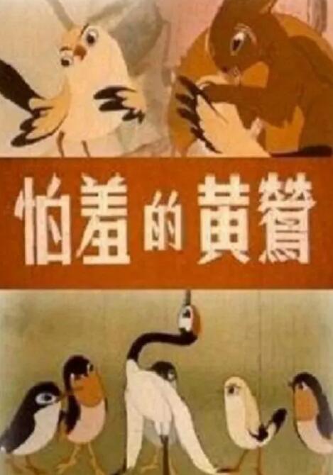 男人桶美女