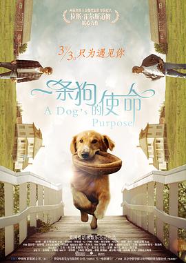 调教视频 vk