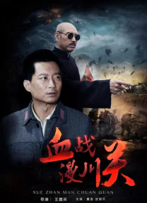 99国产精品久久久久