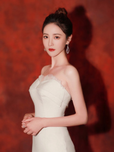 自卫的女客人