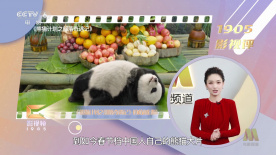 大学生久久香蕉国产线看观看